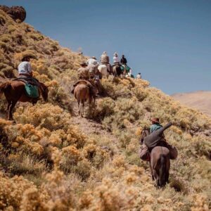 Cruce de los Andes - Mendoza